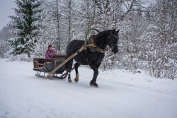 Atpūtas un ceļojumu piedāvājumi 15.01.2026 - 21.01.2026 Piedzīvo ziemu Balvu novadā! Balvu TIC